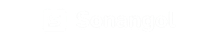 Black and White Modern Initials Logo (200 x 50 px) (220 x 44 px) (2)